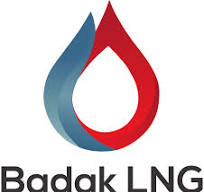 logo badak lng